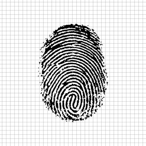 Fingerprint SVG, Fingerprint PNG, Fingerprint clipart, Fingerprint cricut, fingerprint silhouette,  Fingerprint  vector, Fingerprint cricut, Fingerprint  cut file - svgcosmos